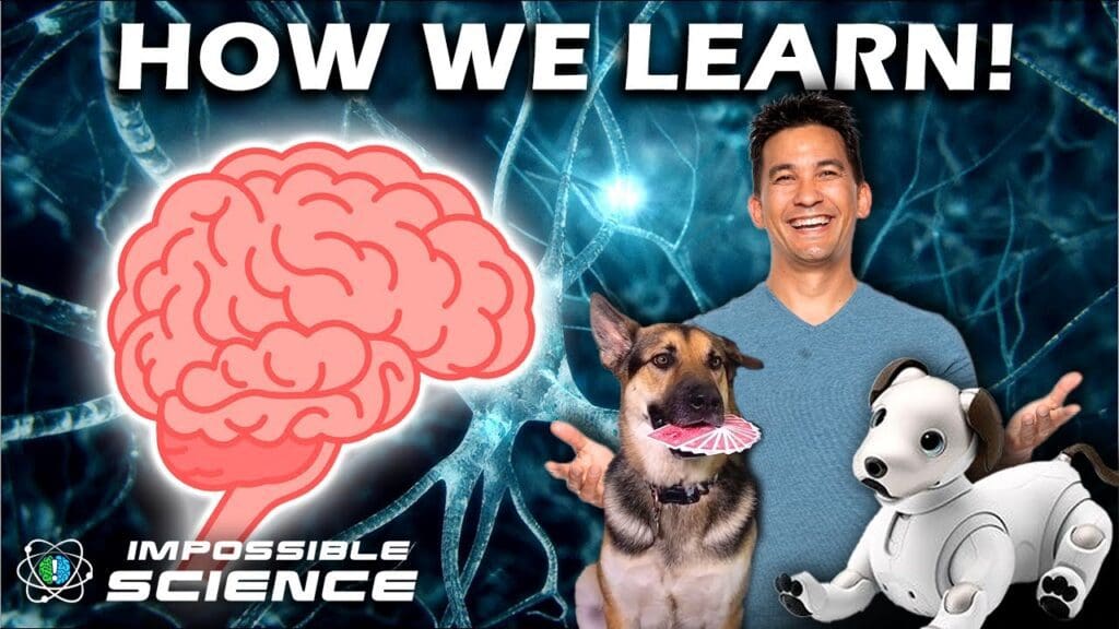 A man and his dog are standing next to a brain.