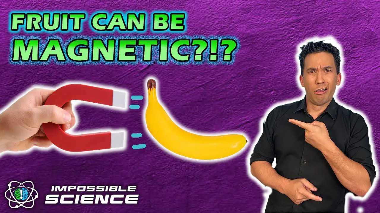 The Magnetic Force of Fruit!
